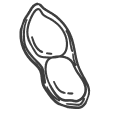 Peanut Vector